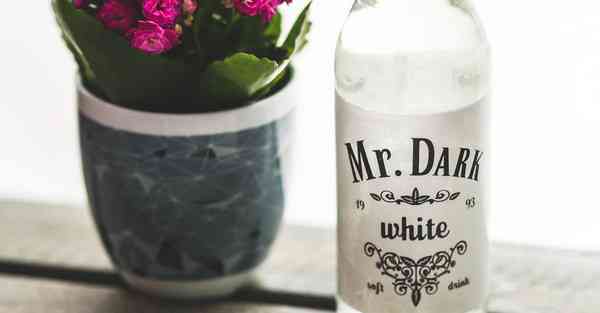 四川药剂专升本考什么科目