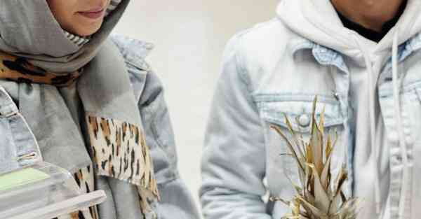 四川专升本是多久开始的