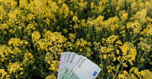 怎样准备四川专升本考点