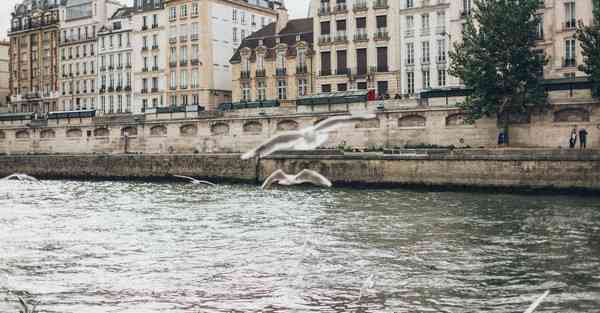 计算机四川专升本学院