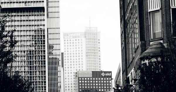 四川移动互联网专升本