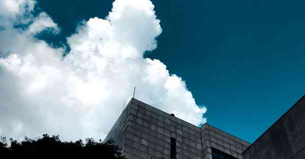 四川专升本要学什么科目