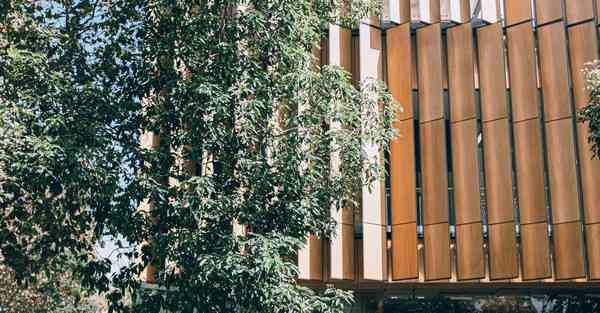 教育部通知四川专升本