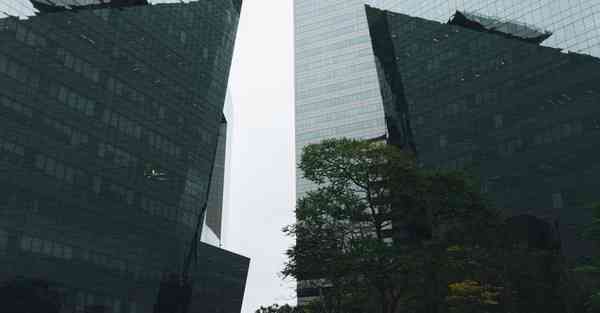 四川工科专升本考啥科目