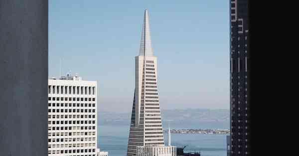 四川专升本电子资料下载