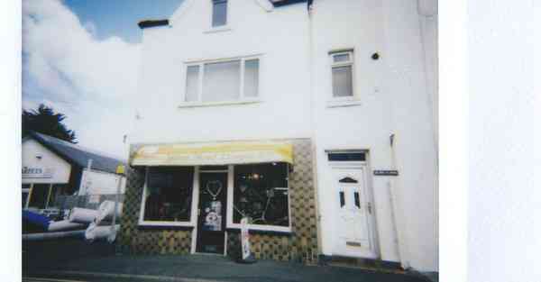 四川文学院专升本专业