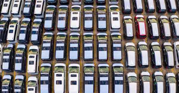 四川退役军人考专升本